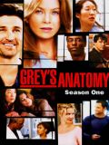   [8 ] (Grey's Anatomy) (19 DVD)