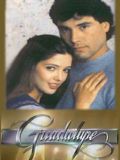  (Guadalupe) (27 DVD)