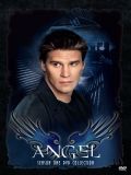 Ангел [5 сезонов] (Angel) (10 DVD)
