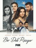 Сумасшедший ветер (Bir Deli Ruzgar) (3 DVD)