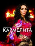 Кармелита - Цыганская страсть (28 DVD)