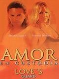 Телохранитель (Amor En Custodia) (14 DVD-10)
