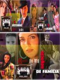 Однажды в Южной Америке (Сага: Семейное дело) (La saga: Negocio de familia) (16 DVD)