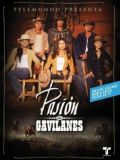 Тайная страсть (Pasion de Gavilanes) (20 DVD)