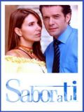 Сила любви (Сладкий плод) (Sabor a ti) (7 DVD-10)