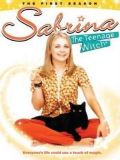 Сабрина - маленькая ведьма [все 7 сезонов] (Sabrina, the Teenage Witch) (7 DVD)