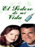 Искрящаяся любовь (El Sodero de mi Vida) (23 DVD)