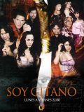 Цыганская кровь (Soy Gitano) (25 DVD)